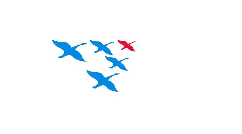 Wilde Ganzen Logo 2