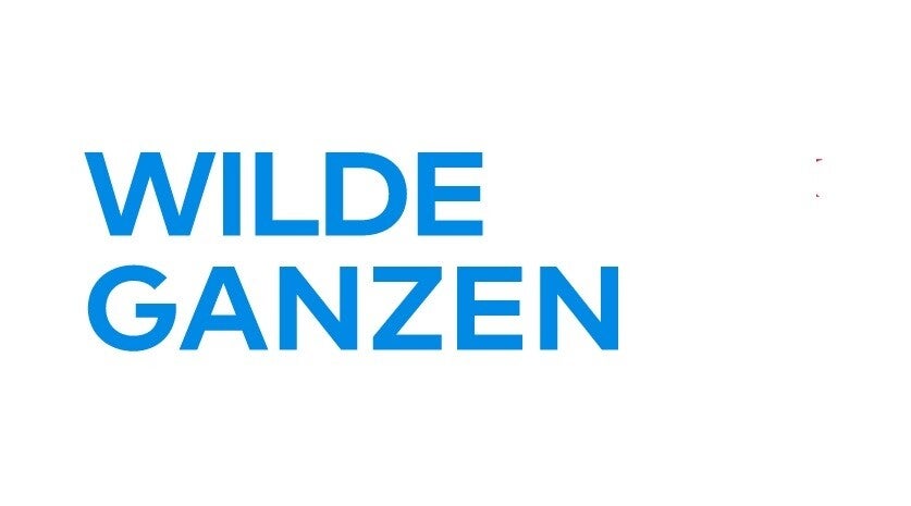 Wilde Ganzen Logo 3